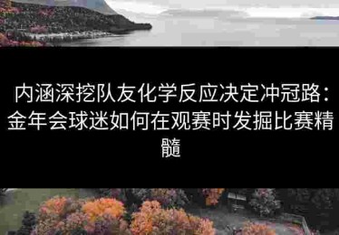 内涵深挖队友化学反应决定冲冠路：金年会球迷如何在观赛时发掘比赛精髓