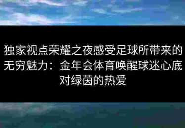 独家视点荣耀之夜感受足球所带来的无穷魅力：金年会体育唤醒球迷心底对绿茵的热爱