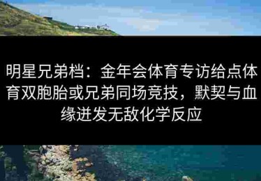 明星兄弟档：金年会体育专访给点体育双胞胎或兄弟同场竞技，默契与血缘迸发无敌化学反应