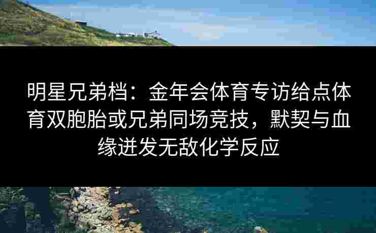 明星兄弟档：金年会体育专访给点体育双胞胎或兄弟同场竞技，默契与血缘迸发无敌化学反应