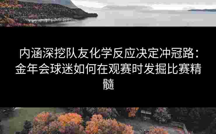内涵深挖队友化学反应决定冲冠路:金年会球迷如何在观赛时发掘比赛精髓 内涵深挖队友化学反应决定冲冠路:金年会球迷如何在观赛时发掘比赛精髓